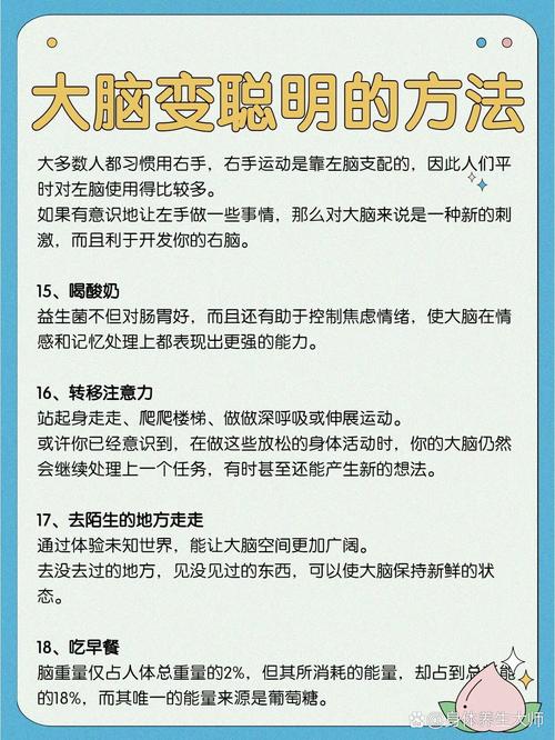 智能订单分配，自动发卡网如何让生意聪明起来