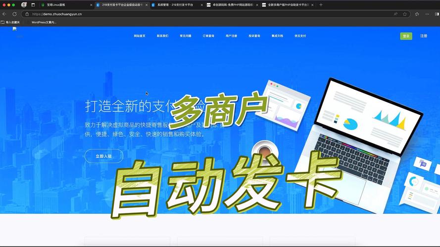数据之舞,发卡网交易系统的导入导出艺术与生存指南