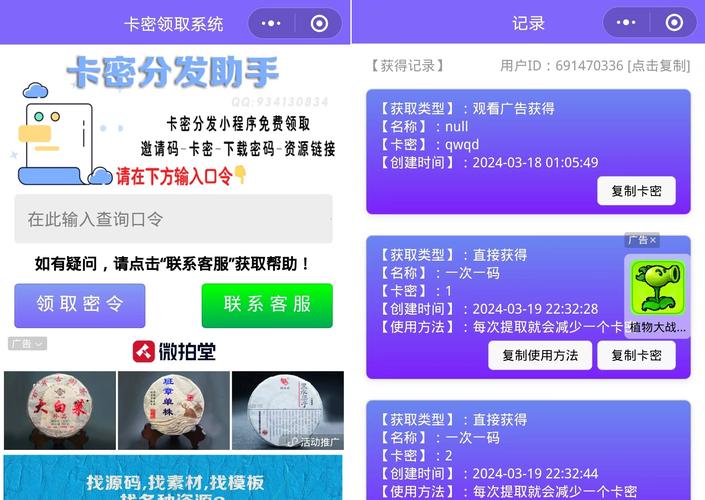 揭秘自动发卡网的自定义模板导出,如何打造个性化与高效并存的发卡系统?