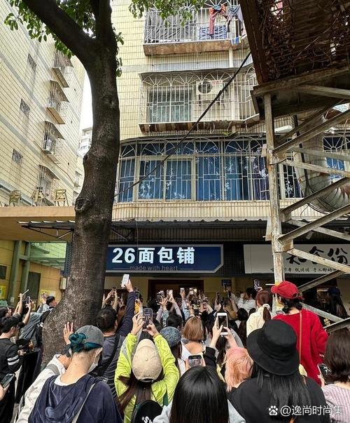 链动小铺,那个让巷口面包店变成城市传奇的幕后推手