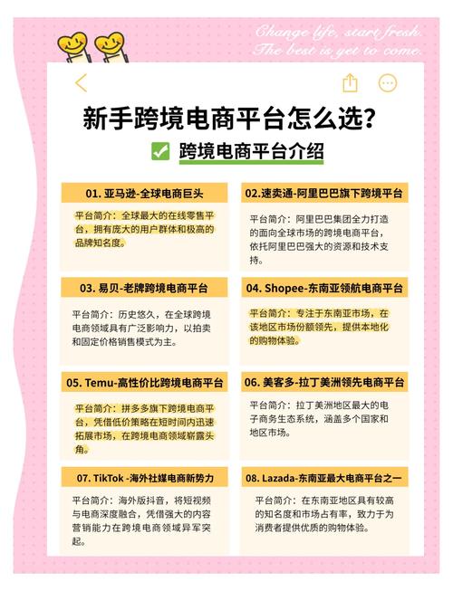链动小铺，跨境支付的蓝海，还是新手卖家的迷途？