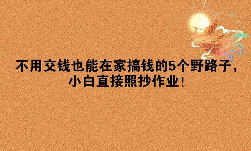 隐秘的搞钱路子?发卡网商户别只会死磕SEO,这3个流量野路子才真香!