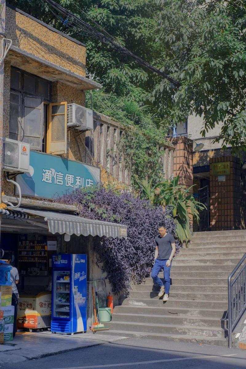 发卡网与链动小铺，隐秘角落的数字便利店生存实录