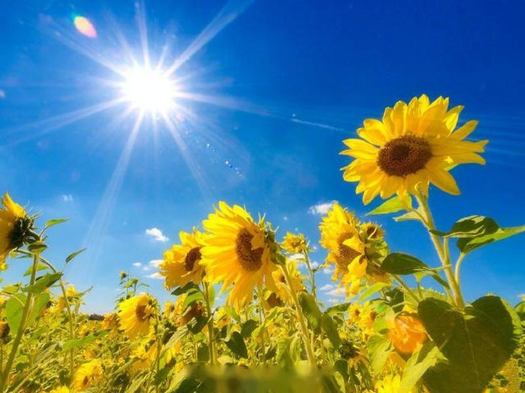 从秒发到永续,链动小铺如何用技术韧性,在自动交付的惊涛骇浪中铸就不沉之岛