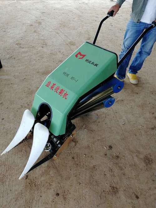 发卡网副业,链动小铺是躺赚神器还是韭菜收割机?