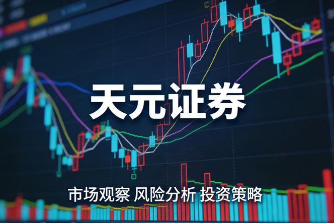 发卡网链动小铺，从裸奔到铁壁，一个风控新手的实战笔记