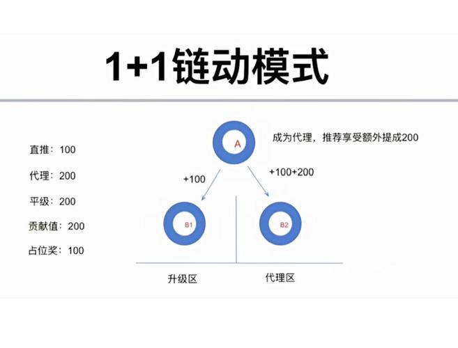 发卡网系统链动小铺自动结算,一场躺赚神话背后的残酷真相