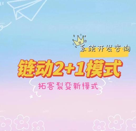 别再当人肉服务器了,发卡网如何把链动小铺从手忙脚乱拽回躺着赚钱