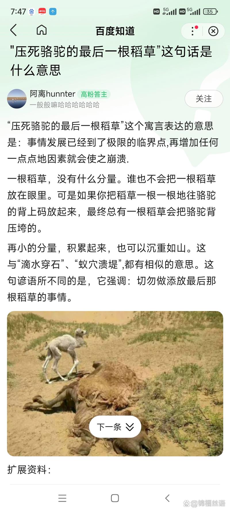 发卡网系统,链动小铺的隐形引擎,还是压垮骆驼的最后一根稻草?